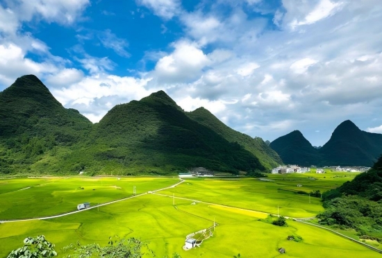 마오란 자연보호구(茂兰自然保护区)