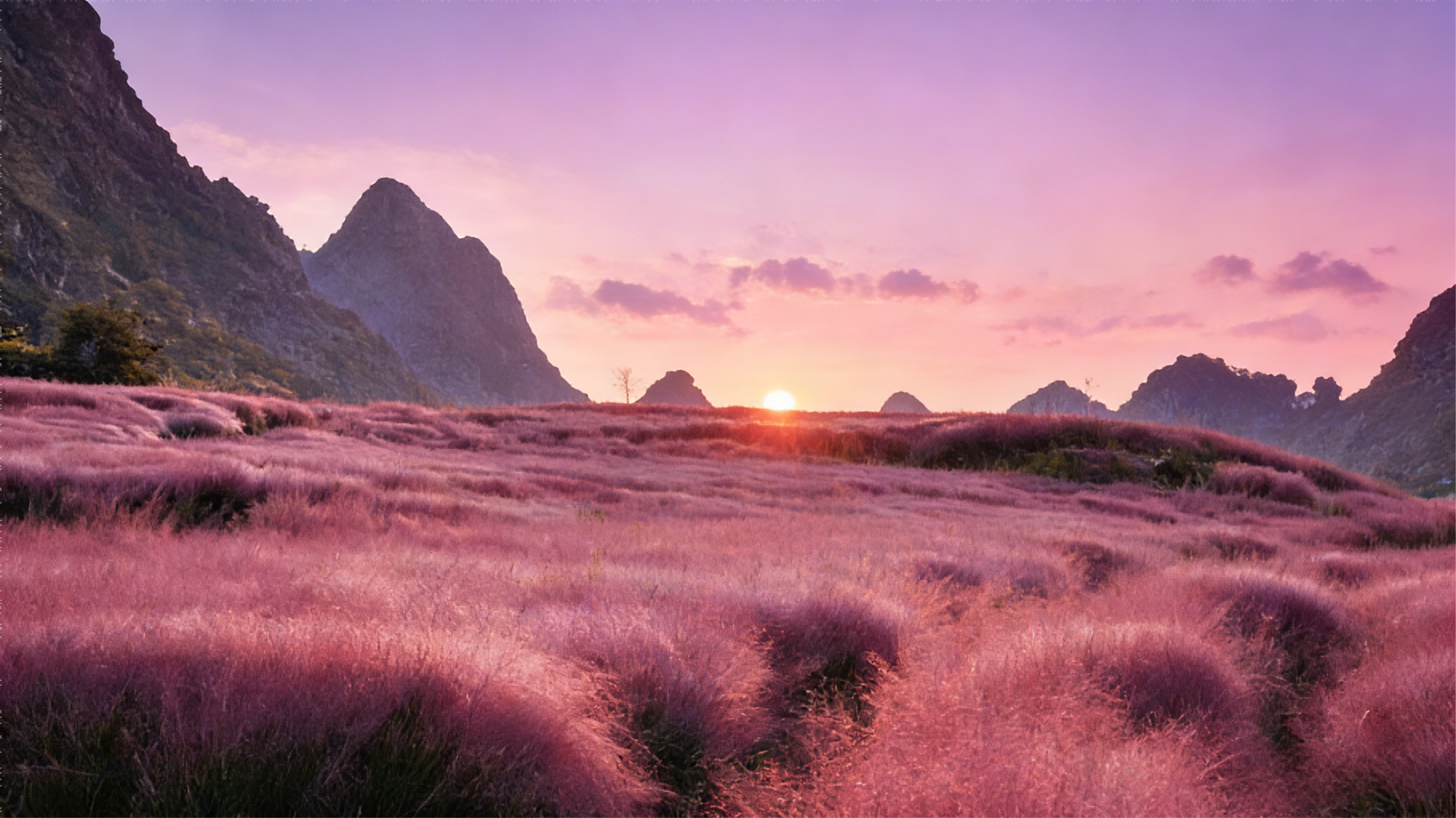 神泉谷粉黛子(1)