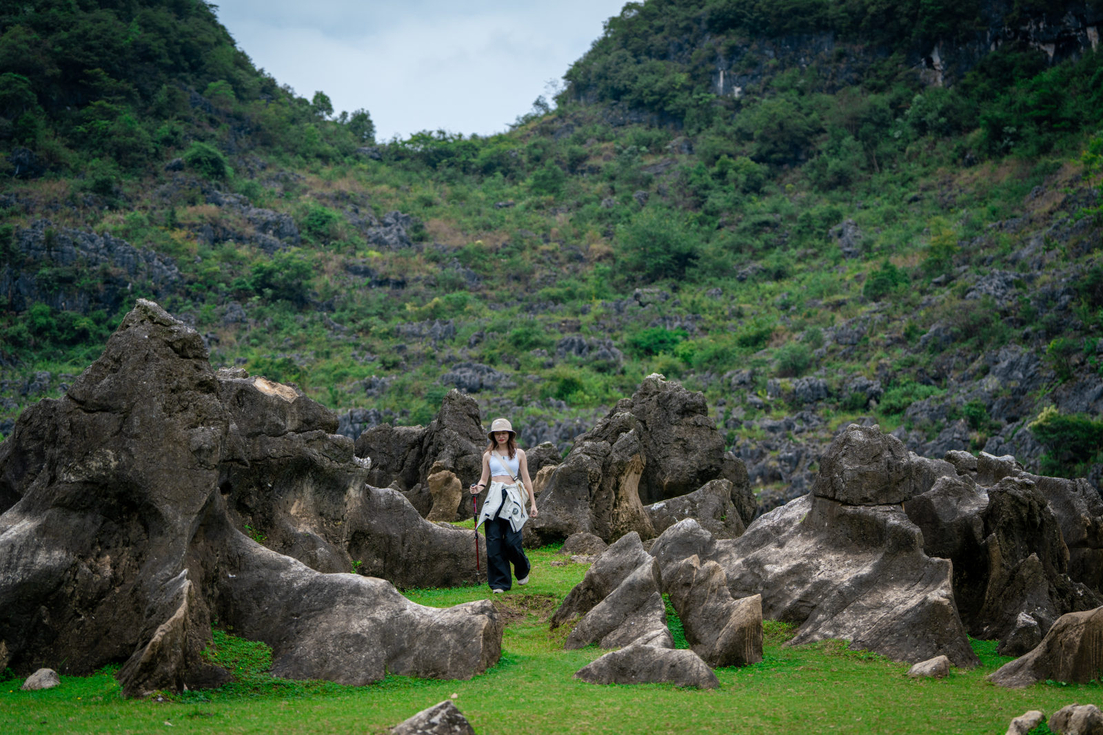 DSC07214-opq4017590955