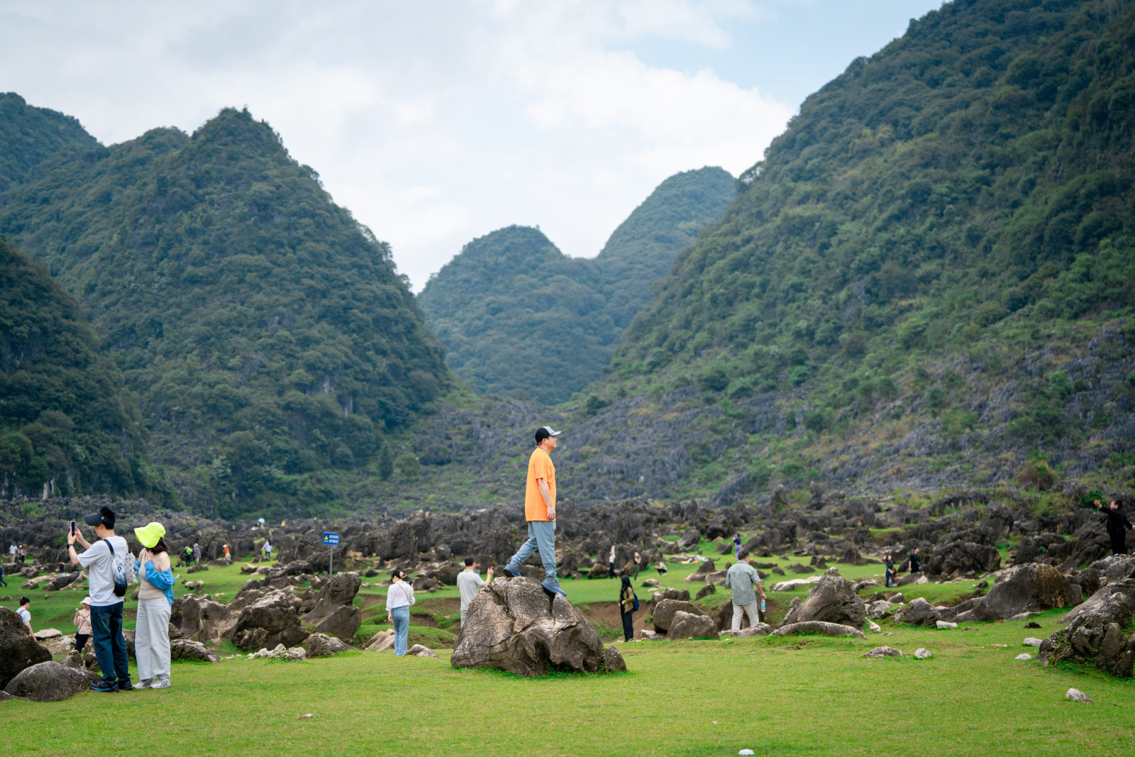 DSC07201-opq4017590881